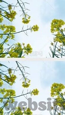 重装战姬九游版下载-重装战姬九游版获取攻略